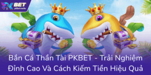 Ban Ca Than Tai Pkbet Trai Nghiem Dinh Cao Va Cach Kiem Tien Hieu Qua0