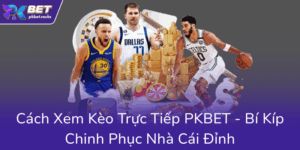 Cach Xem Keo Truc Tiep Pkbet Bi Kip Chinh Phuc Nha Cai Dinh0
