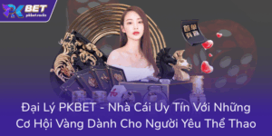 Dai Ly Pkbet Nha Cai Uy Tin Voi Nhung Co Hoi Vang Danh Cho Nguoi Yeu The Thao0
