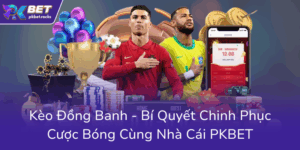 Keo Dong Banh Bi Quyet Chinh Phuc Cuoc Bong Cung Nha Cai Pkbet0