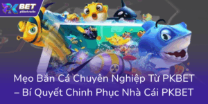 Meo Ban Ca Chuyen Nghiep Tu Pkbet Bi Quyet Chinh Phuc Nha Cai Pkbet0