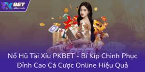 No Hu Tai Xiu Pkbet Bi Kip Chinh Phuc Dinh Cao Ca Cuoc Online Hieu Qua0