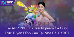 Tai App Pkbet Trai Nghiem Ca Cuoc Truc Tuyen Dinh Cao Tai Nha Cai Pkbet0