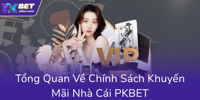 Chính Sách Khuyến Mãi PKBET – Cơ Hội Vàng Để Thắng Lớn Tại Nhà Cái PKBET 1 Tong Quan Ve Chinh Sach Khuyen Mai Nha Cai Pkbet0 1