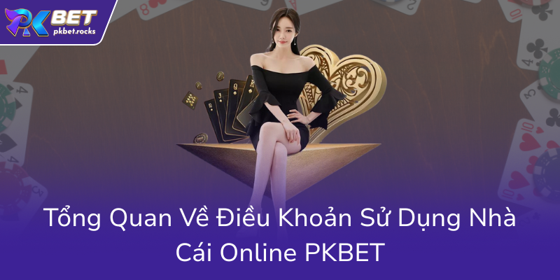 Điều Khoản Và Điều Kiện - Minh Bạch Cho Người Chơi Tại Nhà Cái PKBET 1 Tong Quan Ve Dieu Khoan Su Dung Nha Cai Online Pkbet0